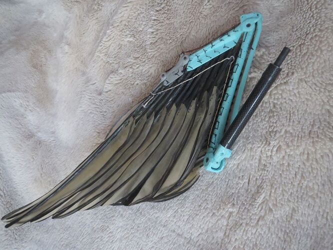 FoldedUnderside