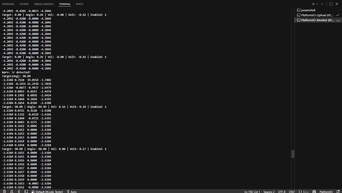 Terminal Output