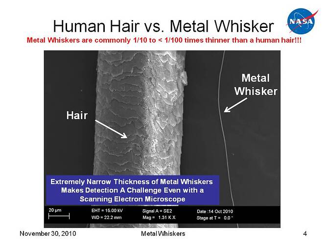 hair-vs-whisker