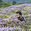 dharani_hariharan